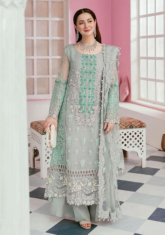 Organza hotsell pakistani dresses